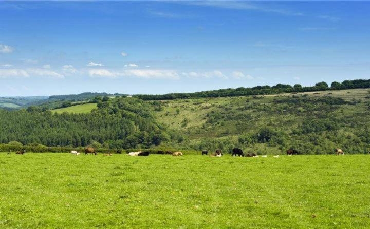 ダルバートン Zeal Farm Bed & Breakfast エクステリア 写真